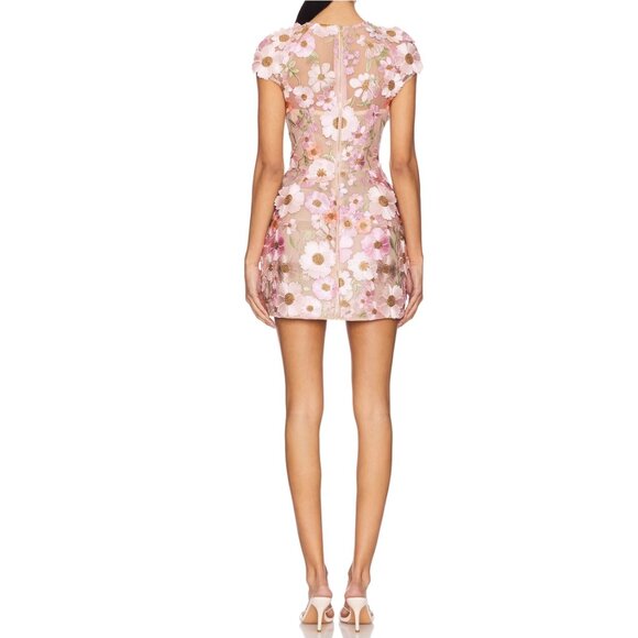 Bronx and Banco Jasmine Embroidered Floral Applique Mini Dress - Picture 4 of 12
